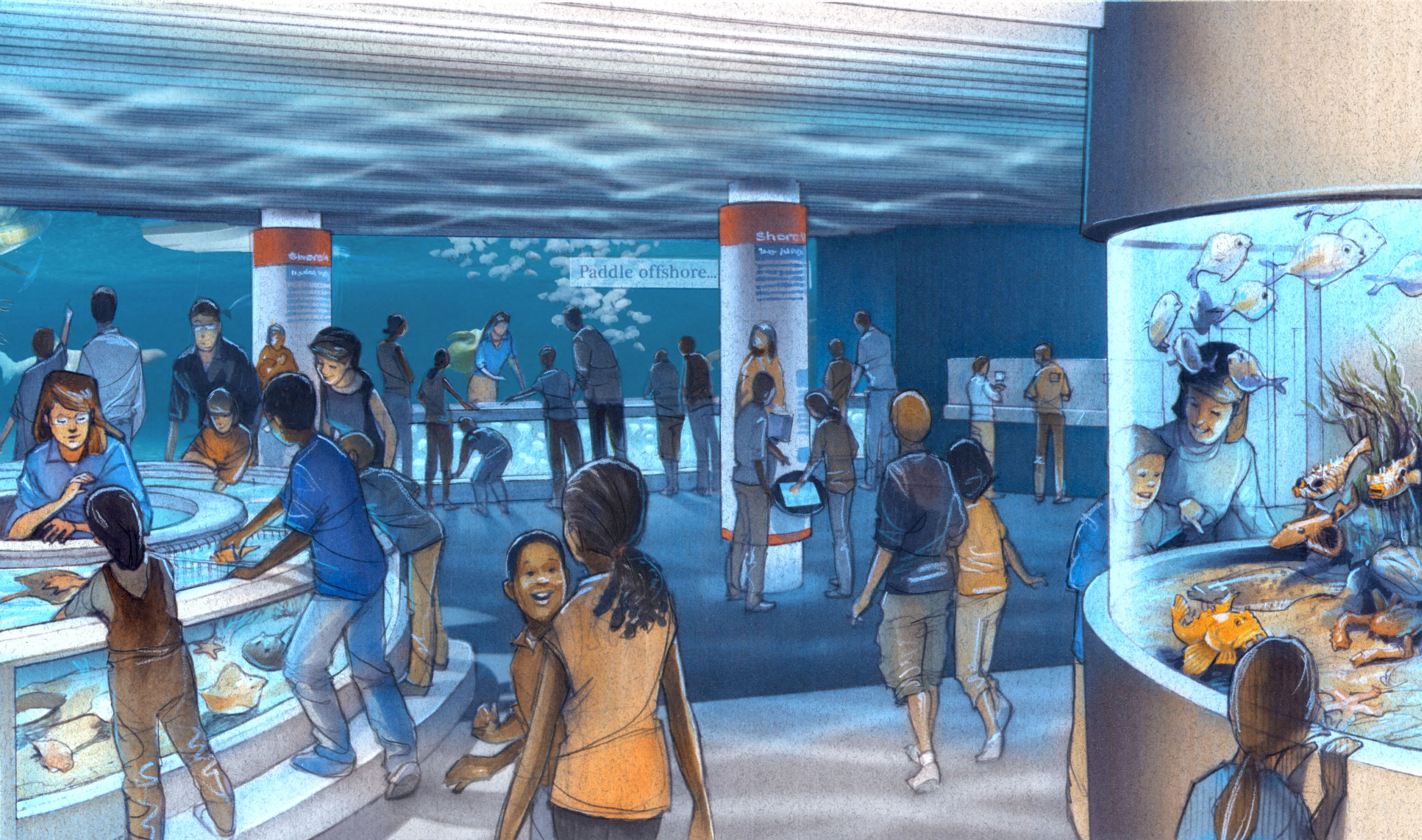 National Aquarium Announces New Living Seashore Exhibit